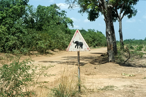 http://www.transafrika.org/media/Bilder Ghana/schild-elefant-ghana.jpg